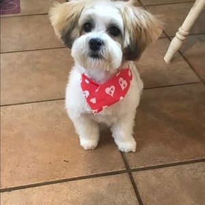 Meet your Posher, Helen